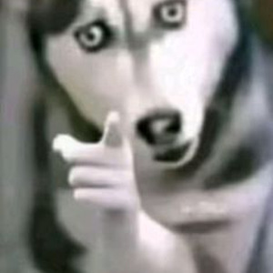 Every Night (slowed)