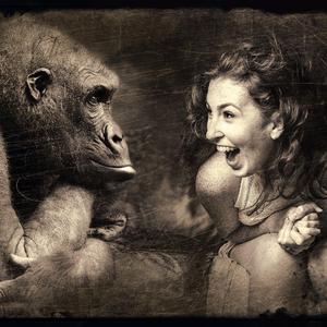 「FREE BEAT」Really cool