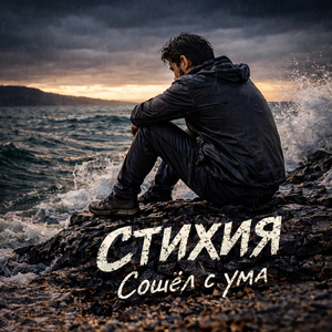 Сошёл с ума