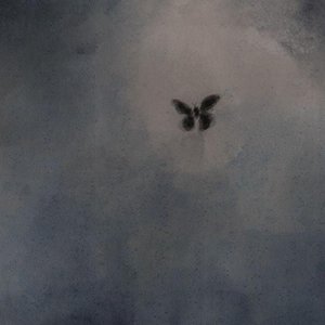 Pdazos de mi kora (Speed Up)