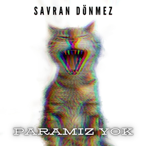 Paramız Yok (Original Mix)