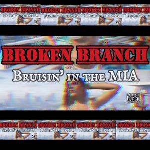 Bruisin' in the MIA (feat. sixset)
