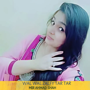 Wal Wal Zalfy Tar Tar