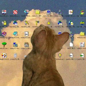 怎么全部都是你（prod by 房间里的大象/GOAT MUSIC)