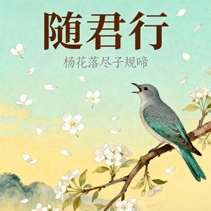 随君行（杨花落尽子规啼）