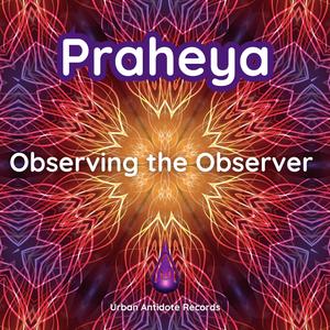 Observing the Observer