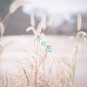 冬の花