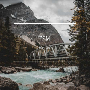 TSM