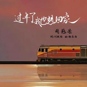 过年了我也想回家