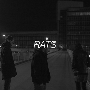 Rats