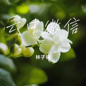 云中微信