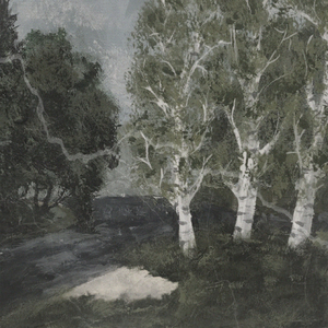 птицы, летящие вдаль