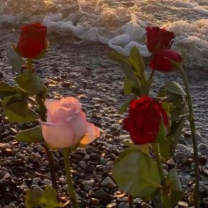 宸ヤ綔瀹ゅぇ閽㈢惔_12