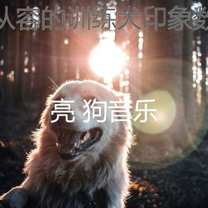 一尘不染小狗印象数