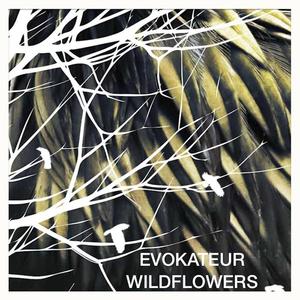 Wildflowers (Raw Mix)
