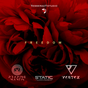 Freedom (Original Mix)