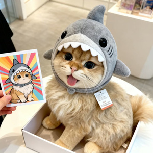 与你