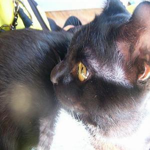 I・S・T・U・K・A(いつか)