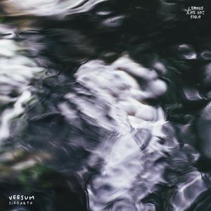 Veesum (from "Lemons Are Not Sour") (feat. Varsha Baskar)