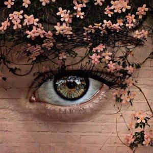 Look at me - Cj-ZiRong