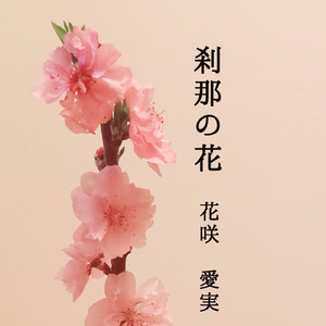 刹那の花