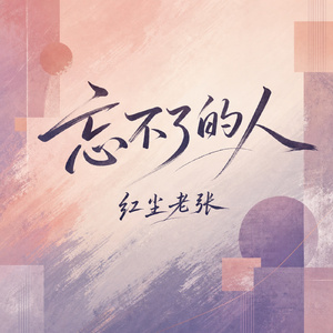 忘不了的人