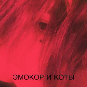 Эмокор и коты