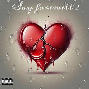 Say Farewell 2