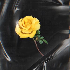 小顾（Prod.金桔0RANG3）