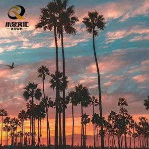 小泉流行6白露欣