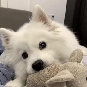 独行侠+说散就散