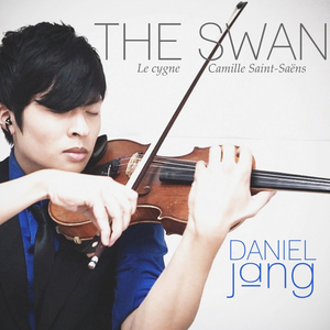 The Swan (Le cygne)