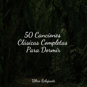 Profundamente Dormido