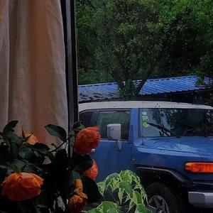 曾经我也想过一了百了