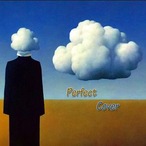 Perfect Cover