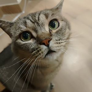 郭源潮