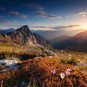 A Safe Haven In The Sound