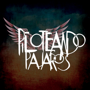 Piloteando Pájaros