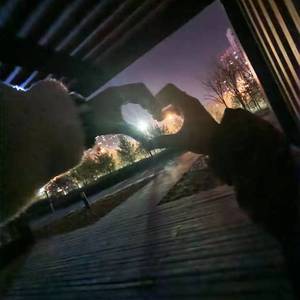 小作文（Prod.OroChi）