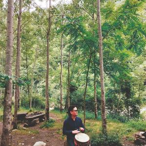 莲花池 词曲 李丹 wav