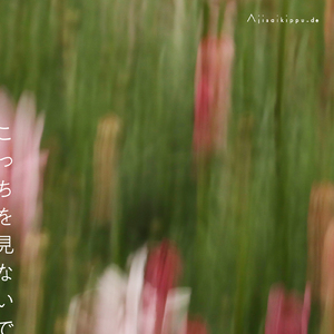 何となく紛れ込めた