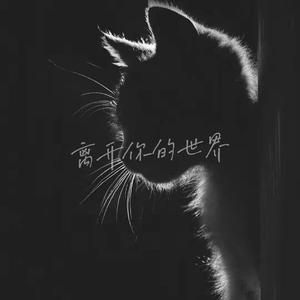 离开你世界（prod by Rising Beat）