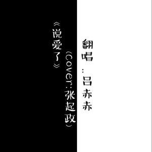 说爱了