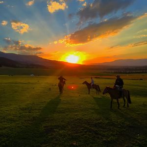 【牧区力帆】Afrotrap Type Beat 130BPM D#mn