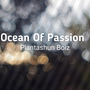 Ocean Of Passion