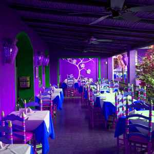 一尘不染黄金十月印象数