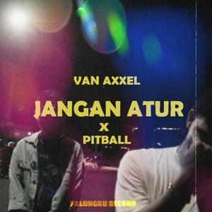Jangan Atur (feat. Pitball)