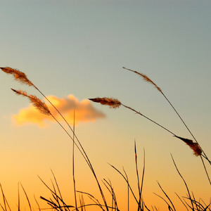 泣けるほどキレイな秋空の思い出オルゴール