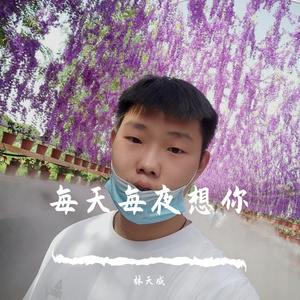 每天每夜想你