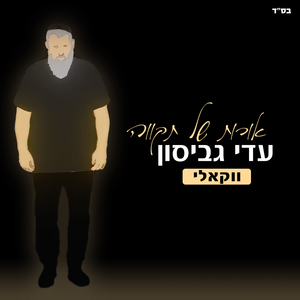 אורות של תקווה - ווקאלי